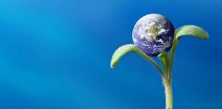 Gaïa, votre mère – Je renais de mes cendres